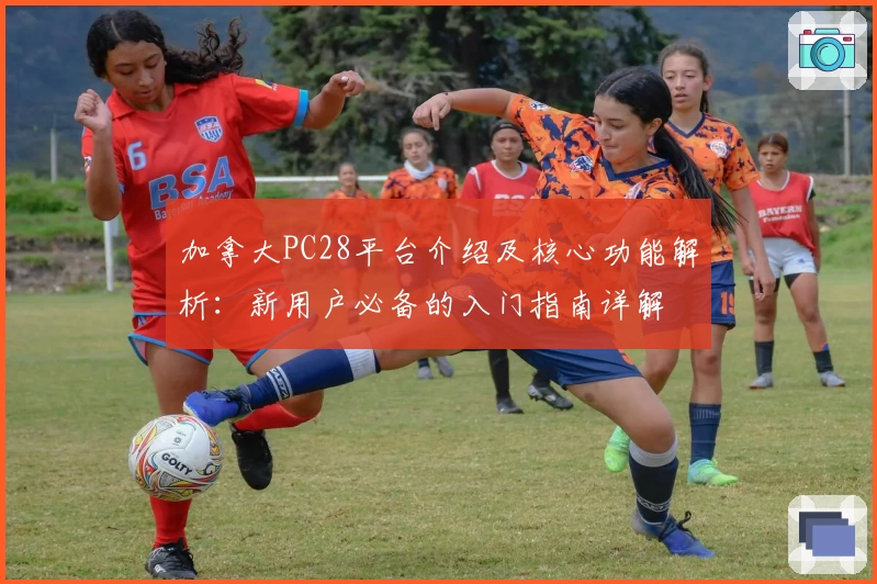 加拿大PC28平台介绍及核心功能解析:新用户必备的入门指南详解