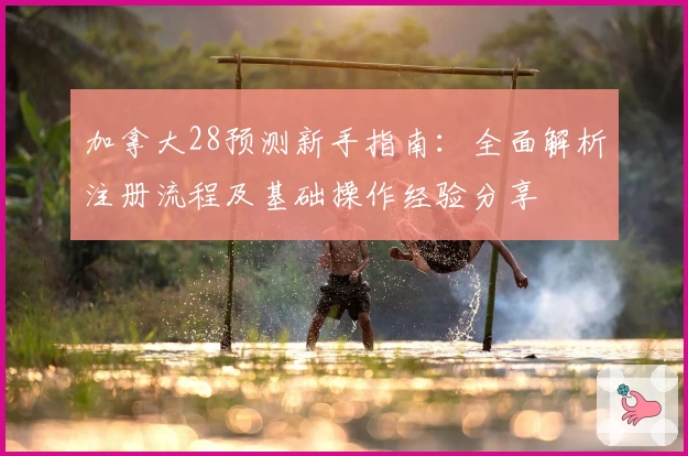 加拿大28预测新手指南：全面解析注册流程及基础操作经验分享