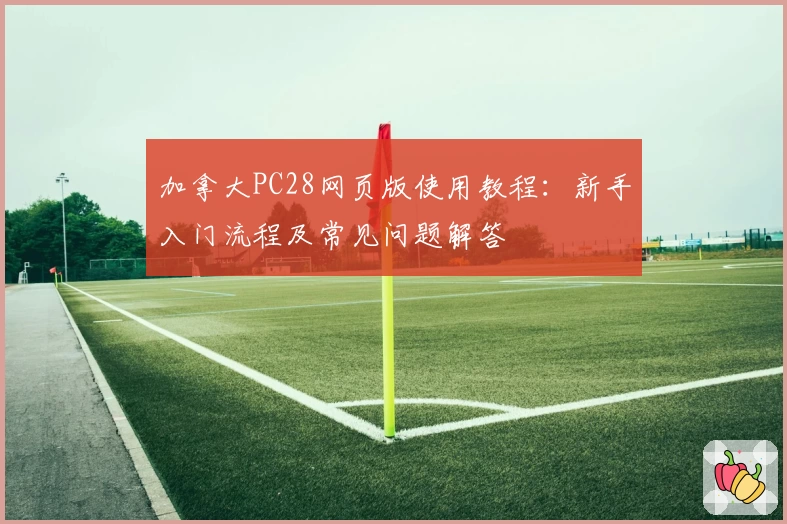 加拿大PC28网页版使用教程：新手入门流程及常见问题解答