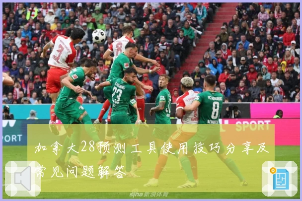 加拿大28预测工具使用技巧分享及常见问题解答