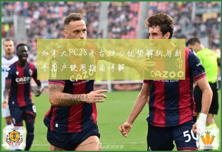 加拿大PC28平台核心优势解析与新手用户使用指南详解