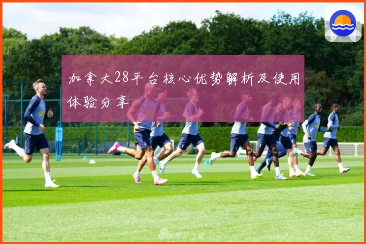 加拿大28平台核心优势解析及使用体验分享