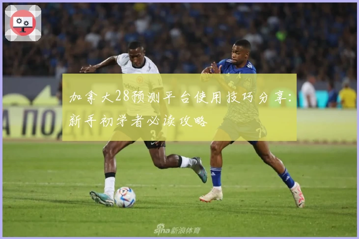 加拿大28预测平台使用技巧分享：新手初学者必读攻略