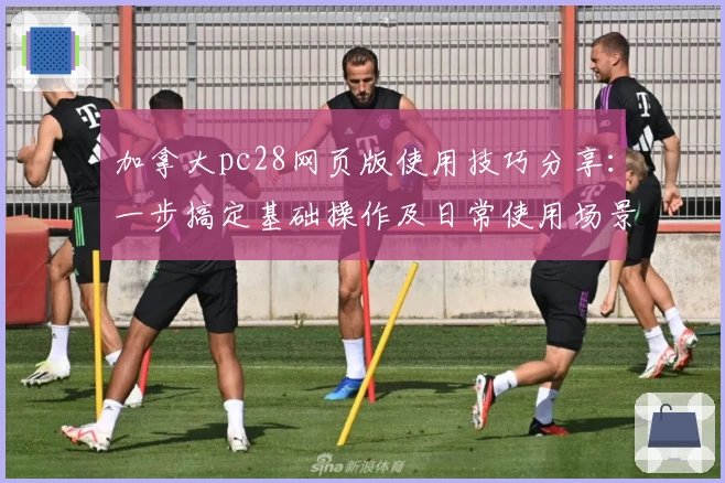 加拿大pc28网页版使用技巧分享：一步搞定基础操作及日常使用场景解析