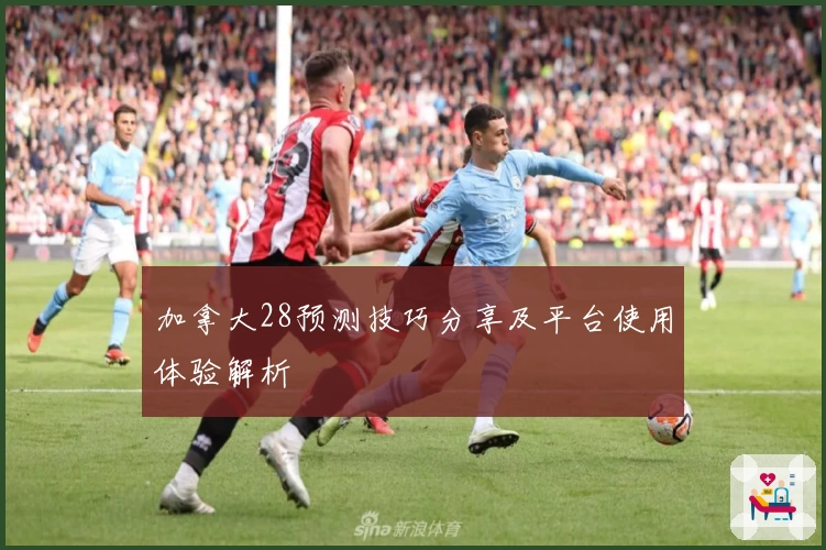 加拿大28预测技巧分享及平台使用体验解析