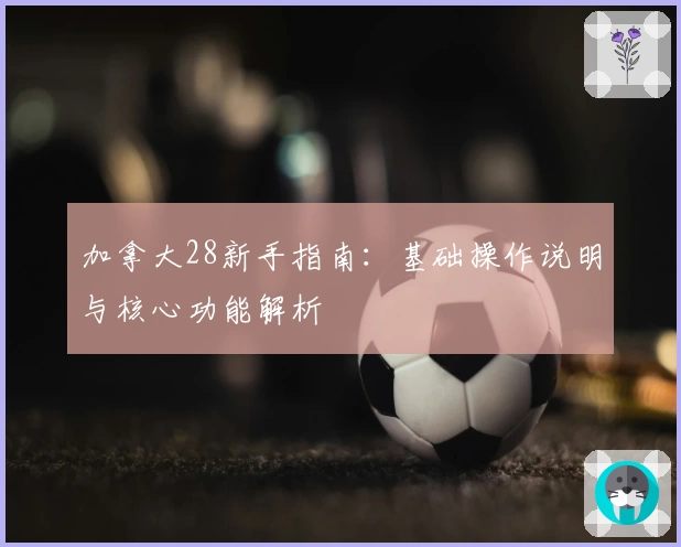 加拿大28新手指南：基础操作说明与核心功能解析