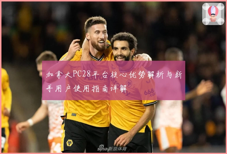 加拿大PC28平台核心优势解析与新手用户使用指南详解