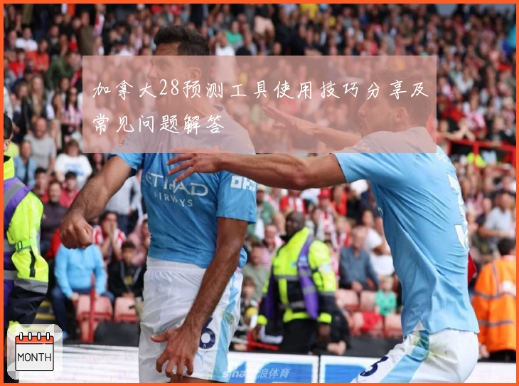 加拿大28预测工具使用技巧分享及常见问题解答