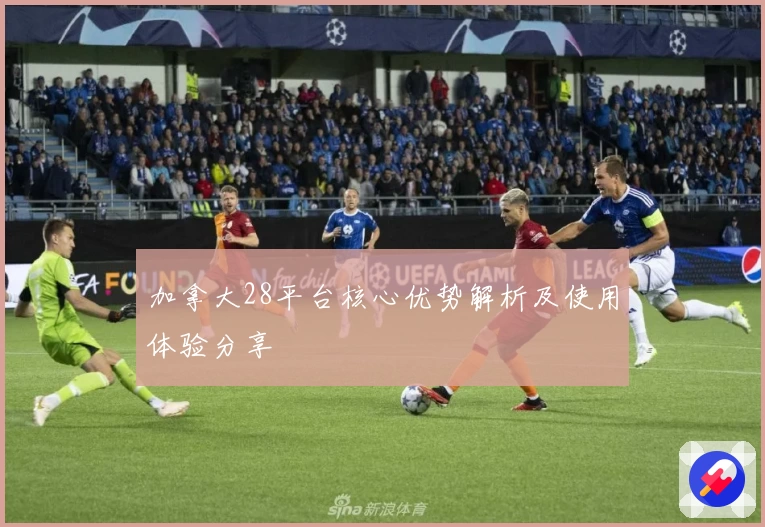 加拿大28平台核心优势解析及使用体验分享